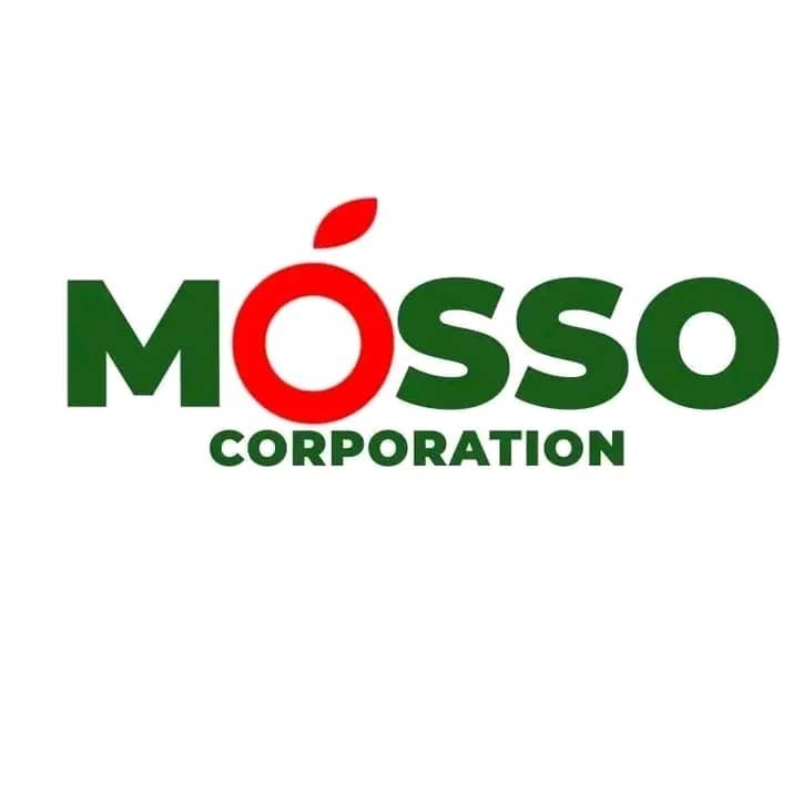 Logo partenaire 2
